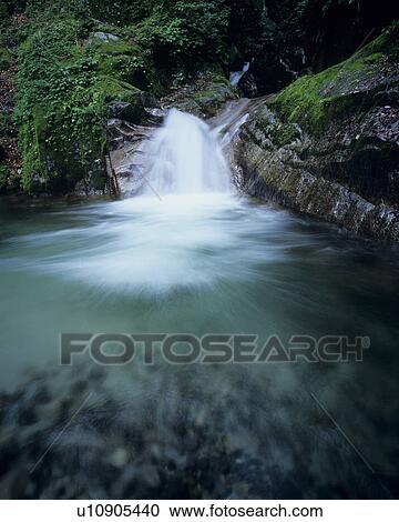 Stock Image - Mountain Stream. Fotosearch