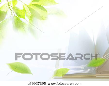 Open Book and Leaves View Large Photo Image Stock Photography - Open Book and Leaves. Fotosearch
