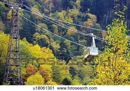 Stock Image - Overhead Cable Car in Autumn. Fotosearch