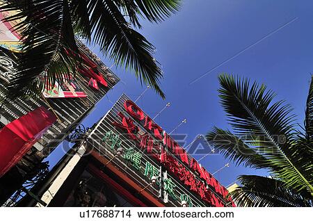 Picture - Palm Trees and Stores. Fotosearch