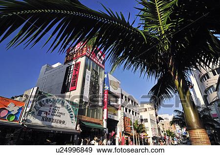 Stock Photo - Palm Trees at Kokusai Street. Fotosearch