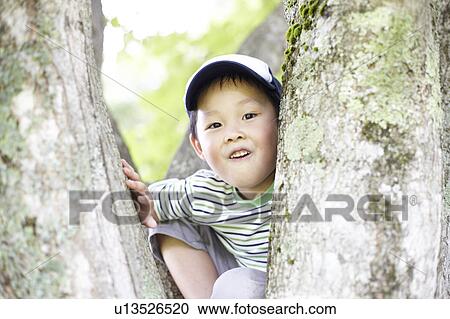 Portrait of Boy Climbing Tree View Large Photo Image Stock Image - Portrait of Boy Climbing Tree. Fotosearch