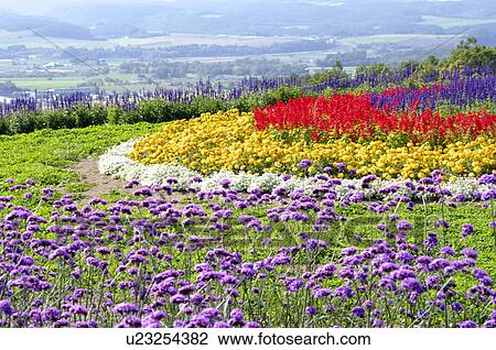 Rokugo Observatory Flower Gardens View Large Photo Image Stock Image - Rokugo Observatory Flower Gardens. Fotosearch