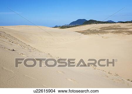 Picture - Sandy Beach. Fotosearch