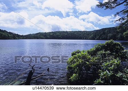 Shirakomanoike Pond View Large Photo Image Stock Photo - Shirakomanoike Pond. Fotosearch