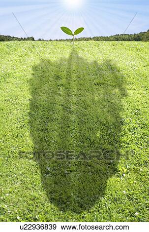 Stock Photo - Sprout. Fotosearch