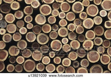 Stack of logs View Large Photo Image Stock Photo - Stack of logs. Fotosearch