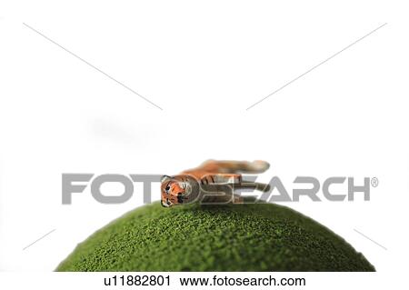 Stock Image - Toy Tiger. Fotosearch