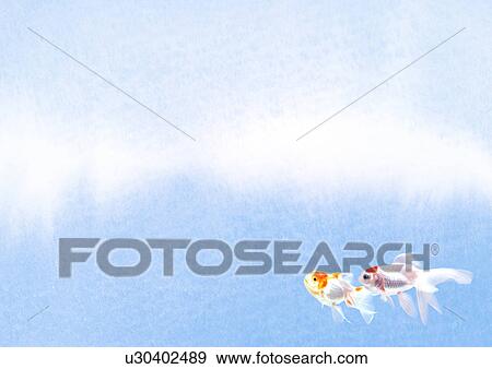 Stock Photo - Two Goldfish. Fotosearch
