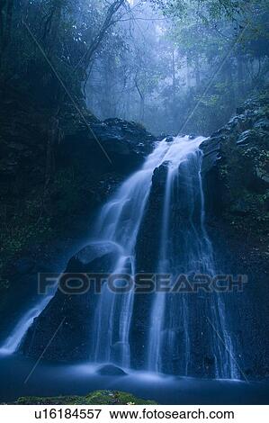 Waterfall in Forest View Large Photo Image Stock Photo - Waterfall in Forest. Fotosearch