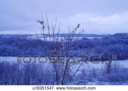 Stock Photo - Winter Landscape. Fotosearch