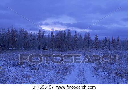 Stock Photo - Winter Landscape. Fotosearch