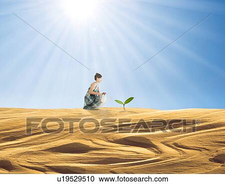 Woman Watering Plant in Desert View Large Photo Image Stock Image - Woman Watering Plant in Desert. Fotosearch