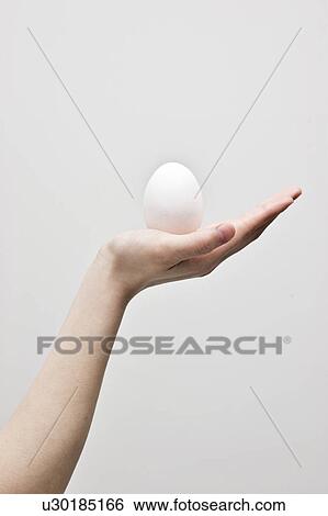 Stock Photograph - Woman's hand holding an egg. Fotosearch