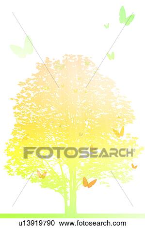 Yellow Tree and Butterflies View Large Photo Image Stock Image - Yellow Tree and Butterflies. Fotosearch