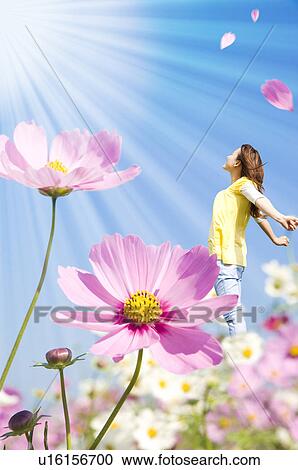 Stock Image - Young Woman and Cosmos Flowers. Fotosearch