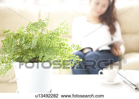 Young Woman in Living Room, Focus on Plant View Large Photo Image Stock Image - Young Woman in Living Room, Focus on Plant. Fotosearch