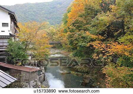 Stock Image - Yunishigawa hot spring, Tochigi Prefecture, Honshu, Japan. Fotosearch