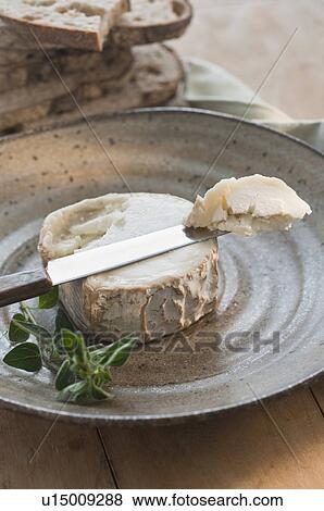 Brie cheese on plate View Large Photo Image Stock Photo - Brie cheese on plate. Fotosearch
