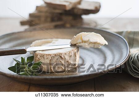 Stock Photography - Brie cheese on plate. Fotosearch