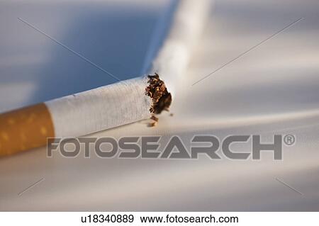 Broken cigarette on white background View Large Photo Image Stock Photo - Broken cigarette on white background. Fotosearch