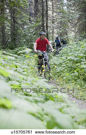 Canada, British Columbia, Fernie, Group of three people enjoying mountain biking View Large Photo Image Stock Image - Canada, British Columbia, Fernie, Group of three people enjoying mountain biking. Fotosearch
