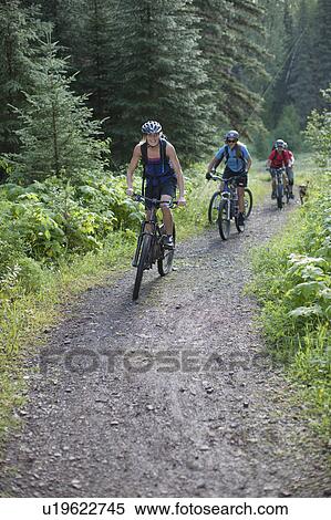 Stock Photography - Canada, British Columbia, Fernie, group of five people enjoying mountain biking. Fotosearch