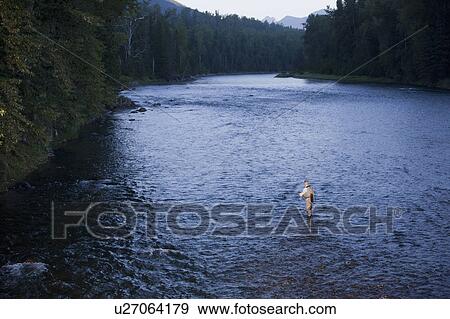 Canada, British Columbia, Fernie, Man fly fishing in river View Large Photo Image Stock Photo - Canada, British Columbia, Fernie, Man fly fishing in river. Fotosearch