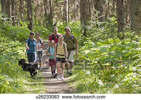 Canada, British Columbia, Fernie, family and dog hiking in forest View Large Photo Image Stock Image - Canada, British Columbia, Fernie, family and dog hiking in forest. Fotosearch