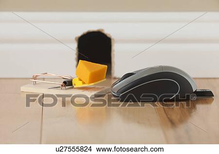 Picture - Computer mouse and mousetrap with cheese in front of mouse hole. Fotosearch