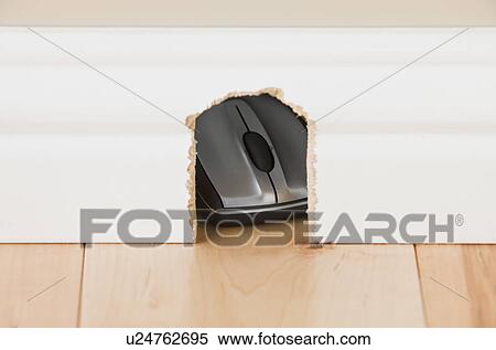 Computer mouse hidden in mouse hole View Large Photo Image Stock Photography - Computer mouse hidden in mouse hole. Fotosearch