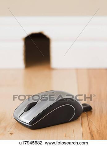 Computer mouse on floor in front of mouse hole View Large Photo Image Stock Image - Computer mouse on floor in front of mouse hole. Fotosearch