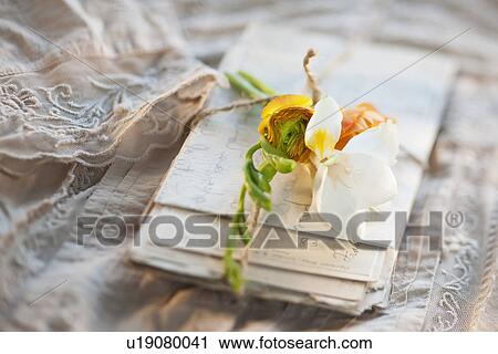 Stock Image - Flowers on pile of letters. Fotosearch