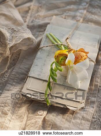Stock Photo - Flowers on pile of letters. Fotosearch