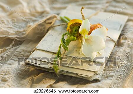 Stock Photography - Flowers on pile of letters. Fotosearch