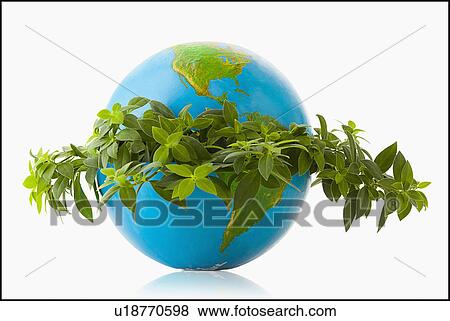 Stock Photo - Globe in wreath of fresh leaves. Fotosearch