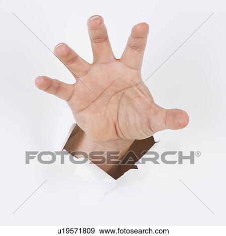 Stock Photo - Hand on white background. Fotosearch