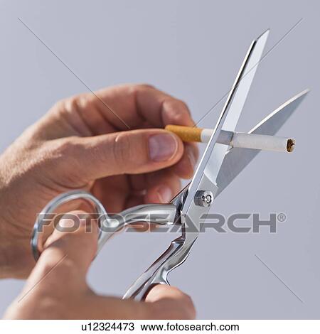 Stock Image - Hands cutting cigarette with scissors. Fotosearch