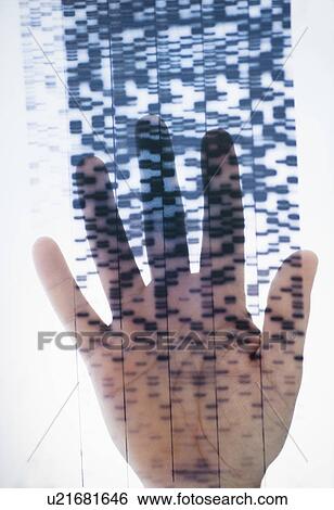 Human hand touching DNA chart View Large Photo Image Stock Photograph - Human hand touching DNA chart. Fotosearch