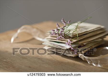 Stock Image - Lavender stem on stack of letters. Fotosearch