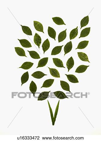 Stock Image - Leaf pattern. Fotosearch