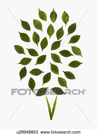 Stock Image - Leaf pattern. Fotosearch