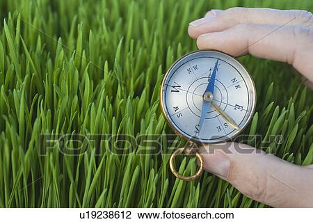 Male hand holding compass over grass View Large Photo Image Stock Image - Male hand holding compass over grass. Fotosearch