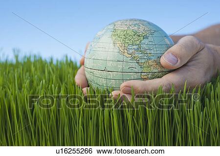 Male hands holding globe over grass View Large Photo Image Stock Photograph - Male hands holding globe over grass. Fotosearch