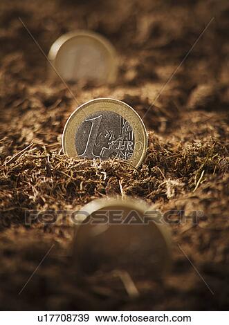 One Euro coins stuck in ground, close-up View Large Photo Image Stock Photo - One Euro coins stuck in ground, close-up. Fotosearch