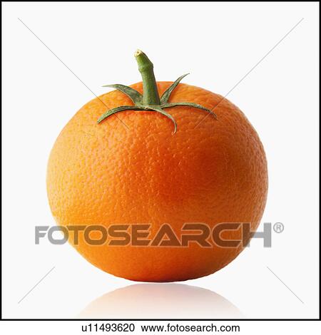 Orange with tomato stem View Large Photo Image Stock Image - Orange with tomato stem. Fotosearch