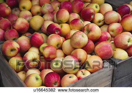 Stock Image - Piles of apples in crates on market stall. Fotosearch