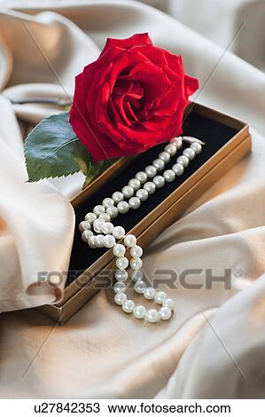 Stock Image - Rose with pearl necklace on satin material. Fotosearch