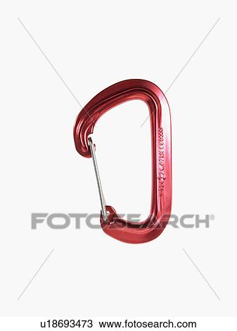 Studio shot of climbing carabineer View Large Photo Image Stock Image - Studio shot of climbing carabineer. Fotosearch
