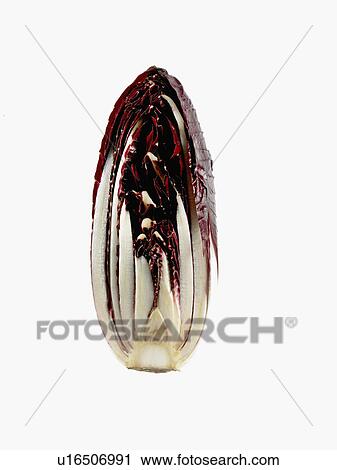 Stock Image - Studio shot of cross section of red cabbage. Fotosearch